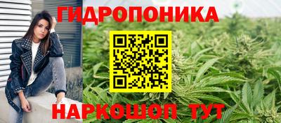 ALPHA PVP Кунгур