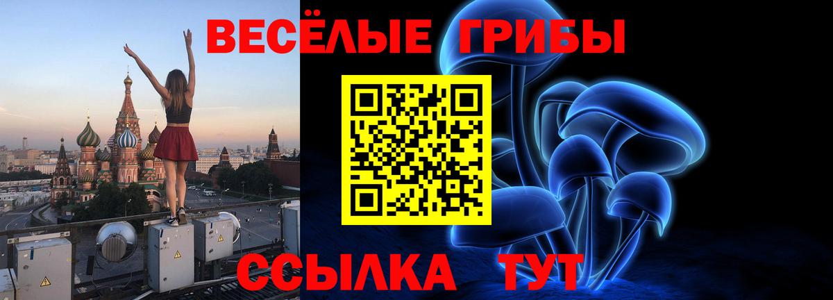 Галлюциногенные грибы Cubensis  Вход с VPN  Волгоград 